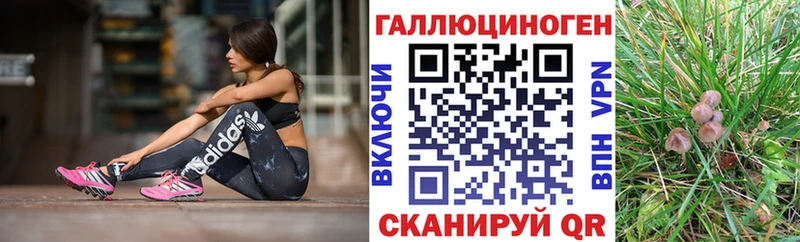 Галлюциногенные грибы Magic Shrooms  Ревда 
